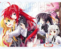 High School DxD Canvas Art (Hanami ver.)