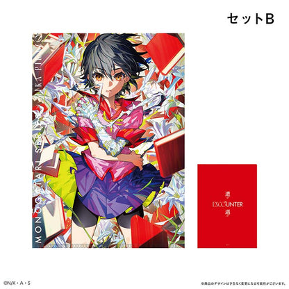 Monogatari Series x Mika Pikazo ENCOUNTER Clear File Set