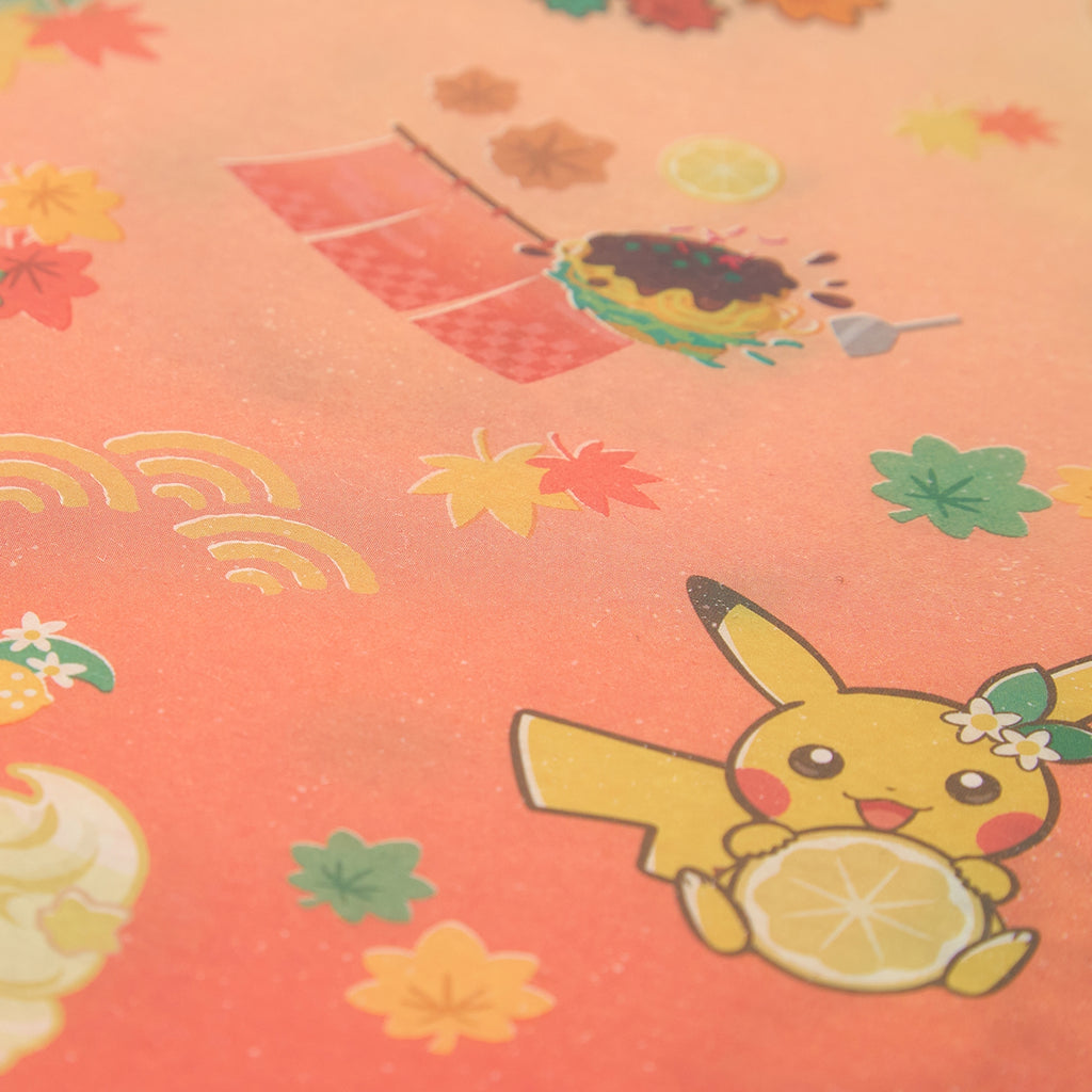 Pokémon Center Hiroshima R Set of 2 Japanese-style A4 Clear Files