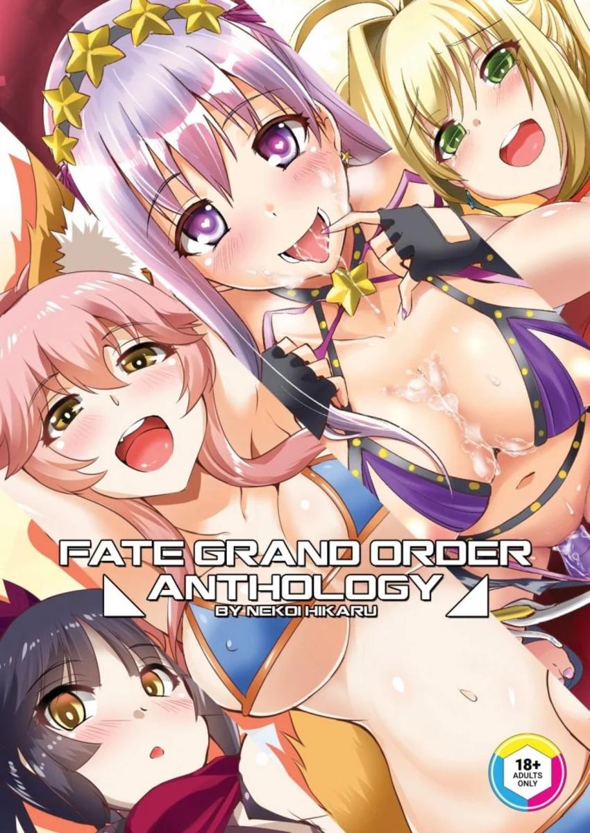 Fate Grand Order Anthology By Nekoi Hikaru