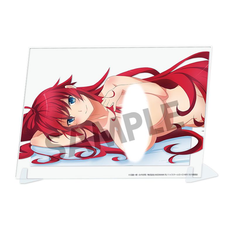 High School DxD HERO Original Visual Acrylic Plate Sleeping Together B ver. (5 types)