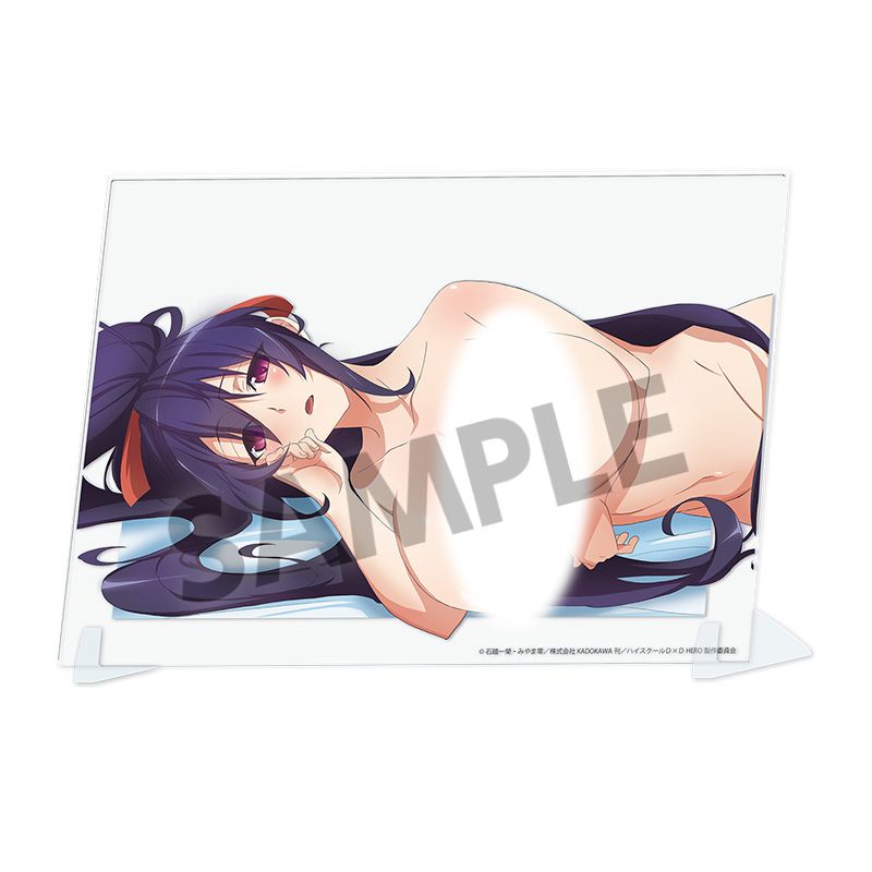 High School DxD HERO Original Visual Acrylic Plate Sleeping Together B ver. (5 types)