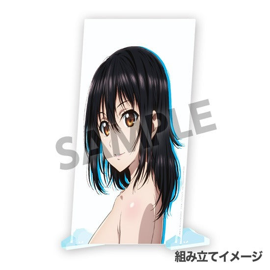 Strike the Blood III Visual Acrylic Plate Himeragi Yukina & December