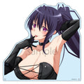 High School DxD HERO Extra Large Die-Cut Acrylic Board Akeno Himejima Bondage Ver.