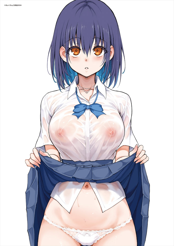 B2 Tapestry BV2501 COVER <Suzu> [Kyockcho Only SHOP]