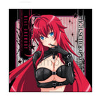 High School DxD HERO Microfiber Bondage Ver. (4 types)